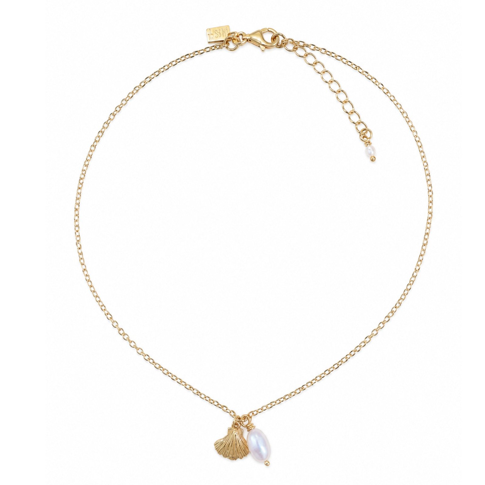 A delicate gold chain necklace featuring a small gold shell charm and a white pearl bead pendant, displayed on a clean white background.